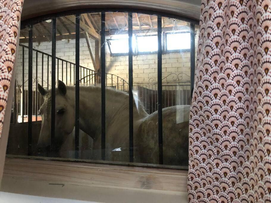 Logement Insolite Au Coeur D'Une Ecurie 아흘르 외부 사진