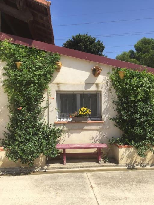 Logement Insolite Au Coeur D'Une Ecurie 아흘르 외부 사진