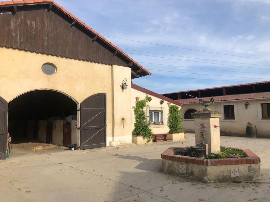 Logement Insolite Au Coeur D'Une Ecurie 아흘르 외부 사진